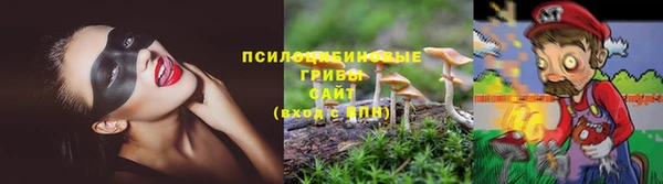 2c-b Богородск