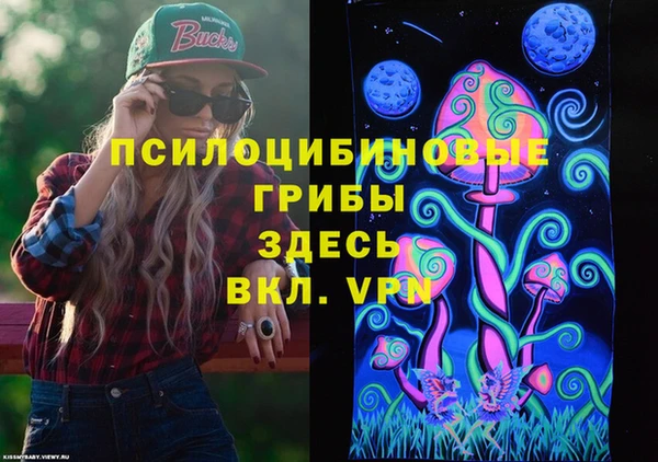 mdma Богородицк