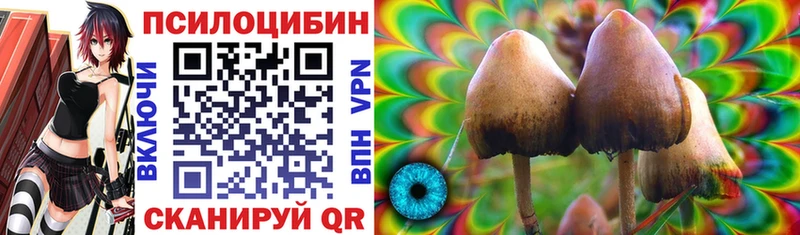 Псилоцибиновые грибы ЛСД  Купить закладки  Лесозаводск 